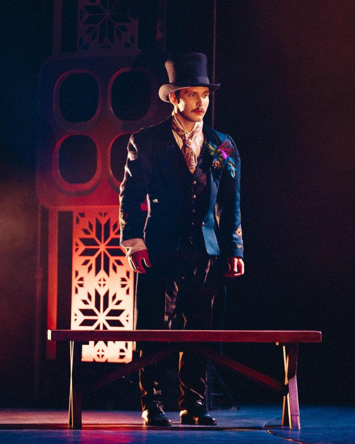 Циркове шоу «Мавка»